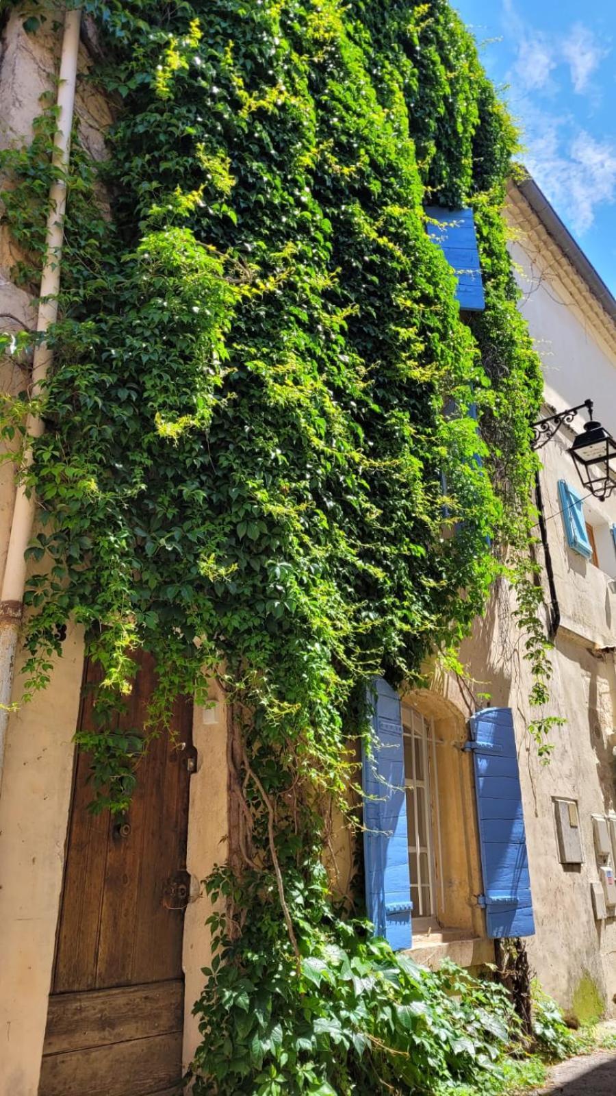 La Confidentielle Centre Ville Arles Terrasse Екстер'єр фото