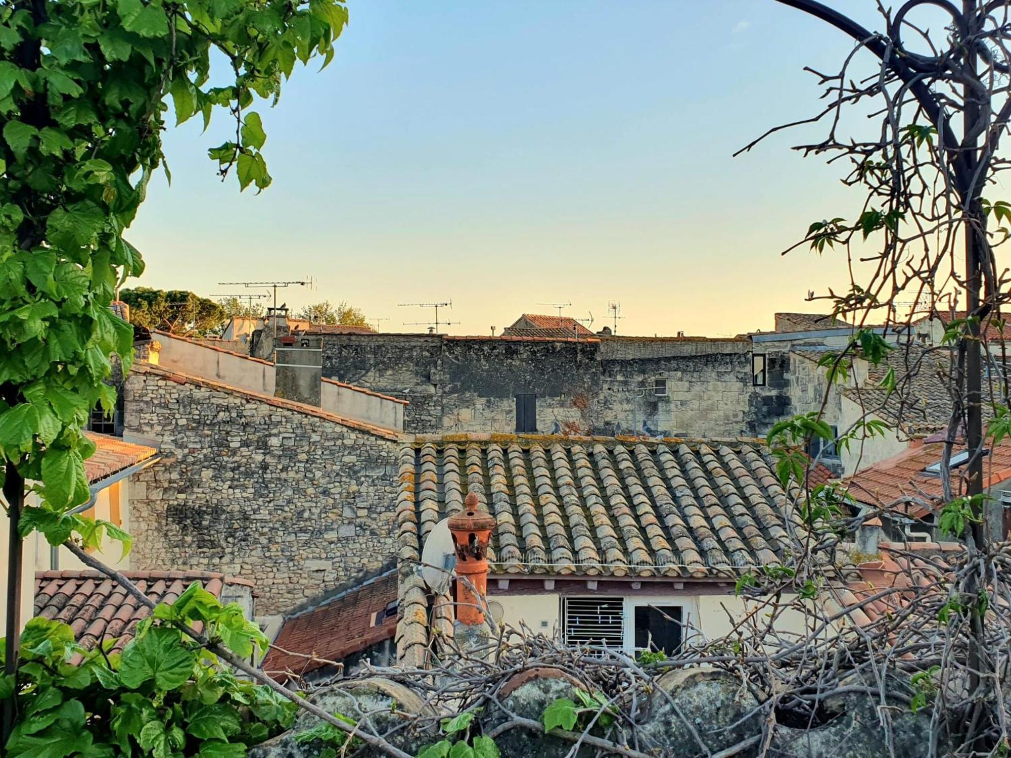 La Confidentielle Centre Ville Arles Terrasse Екстер'єр фото